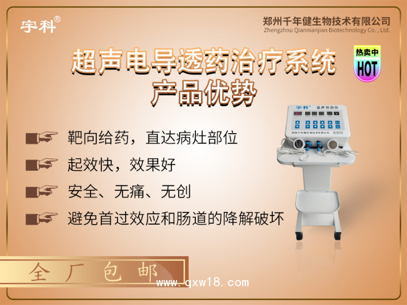 數碼多功能超聲波透藥治療系統