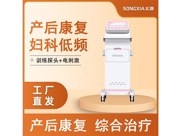 產后康復儀/婦科低頻脈沖綜合治療儀/盆底康復治療儀/低頻脈沖