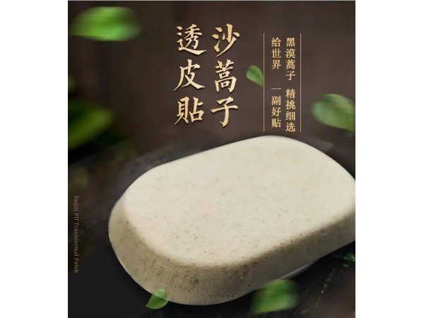 沙蒿子透皮貼