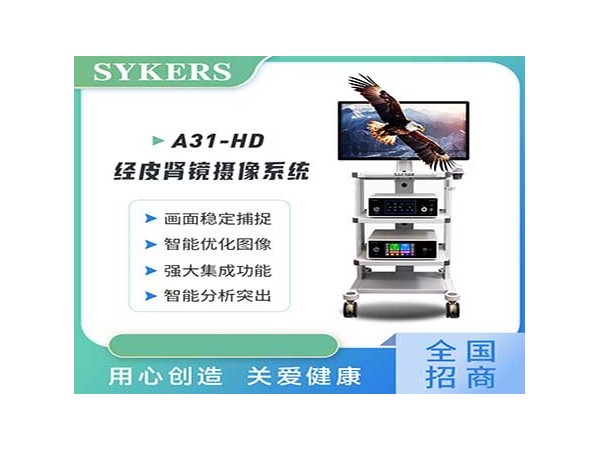 SYKERS 史克斯內窺鏡 高清腹腔鏡攝像系統 60L氣腹機 氣腹機