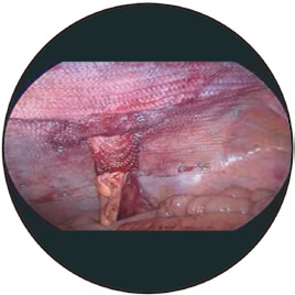 1661836075687222.bmp 1661836075687222.bmp