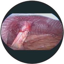 1661836075948945.bmp 1661836075948945.bmp