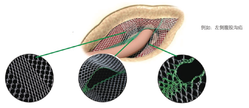 1661836944456552.png L-2.png